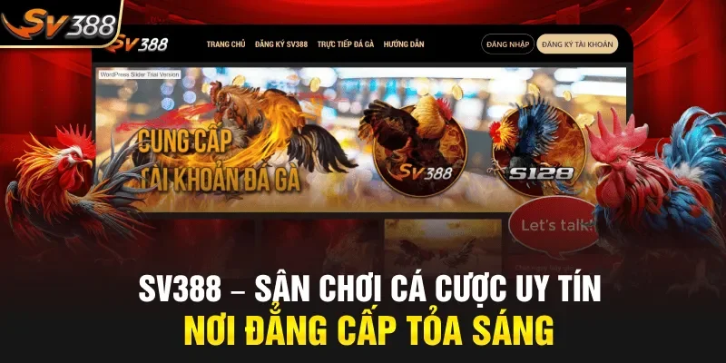 sv388 Sân chơi cá cược uy tín nơi đẳng cấp toả sáng 